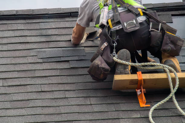 Best Roof Repair Services  in Galls, IN