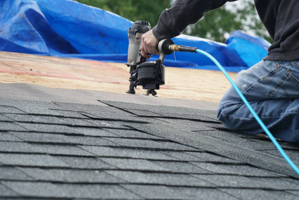 Best Roof Gutter Cleaning  in Galls, IN